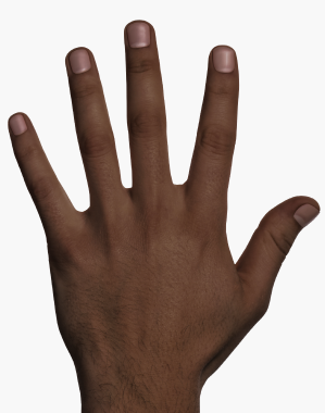 light_base_hand