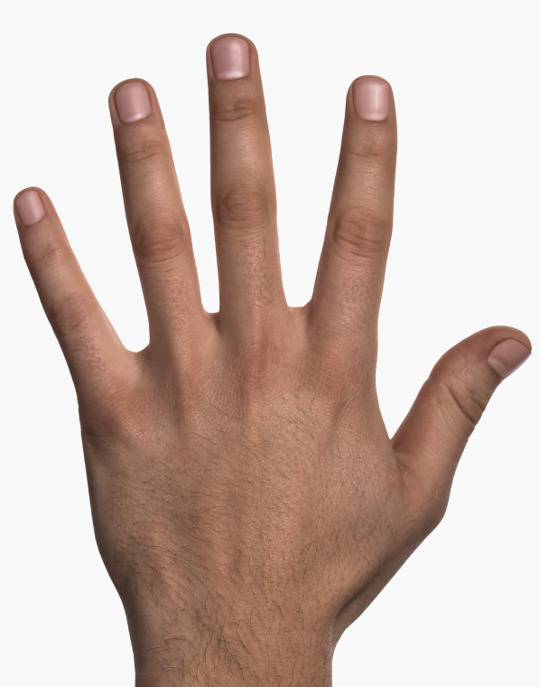 light_base_hand