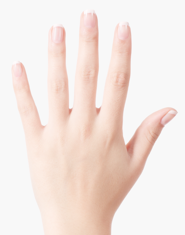 light base hand