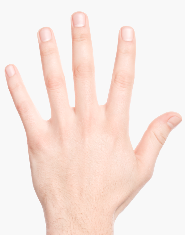 light_base_hand